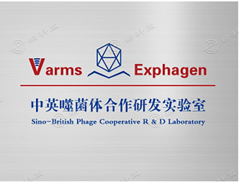 中英噬菌体合作研发实验室