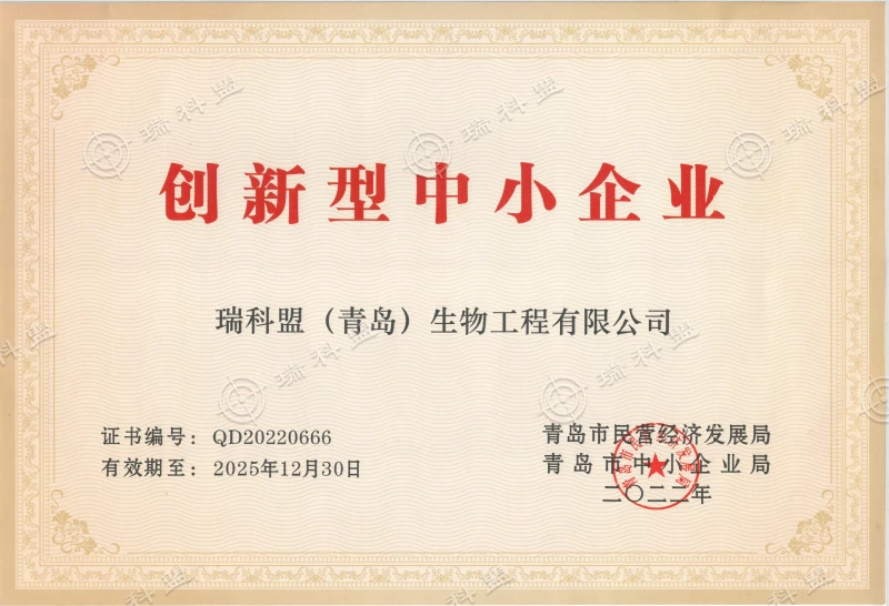 瑞科盟创新性中小企业证书