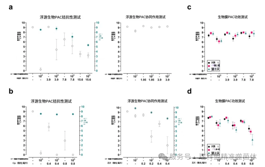 【文献快览】游离细菌测试，能否成为噬菌体-抗生素&ldquo;黄金搭档&rdquo;的预筛利器？