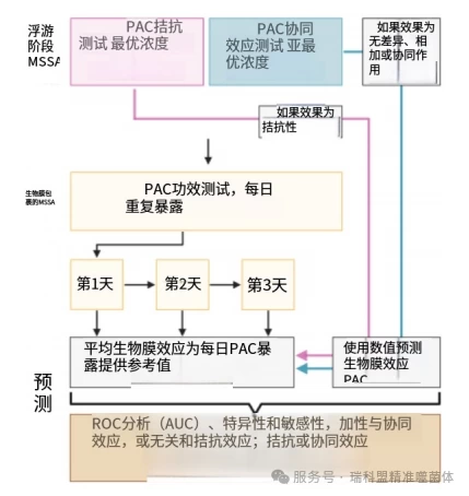 【文献快览】游离细菌测试，能否成为噬菌体-抗生素&ldquo;黄金搭档&rdquo;的预筛利器？